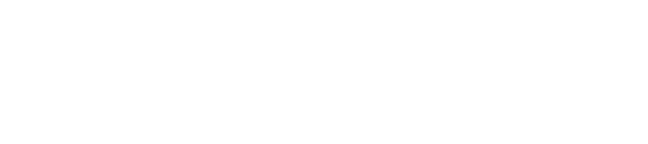 logo-white